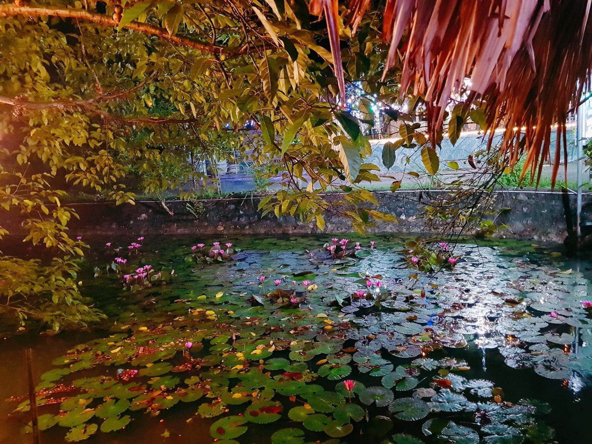 Quoc Khanh Bamboo Homestay Ниньбинь Экстерьер фото